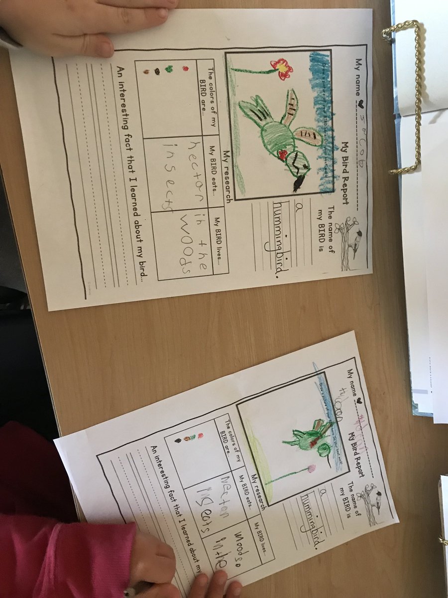 kinderknights1's tweet photo. Learning all about hummingbirds. https://t.co/kQOABF2U7J