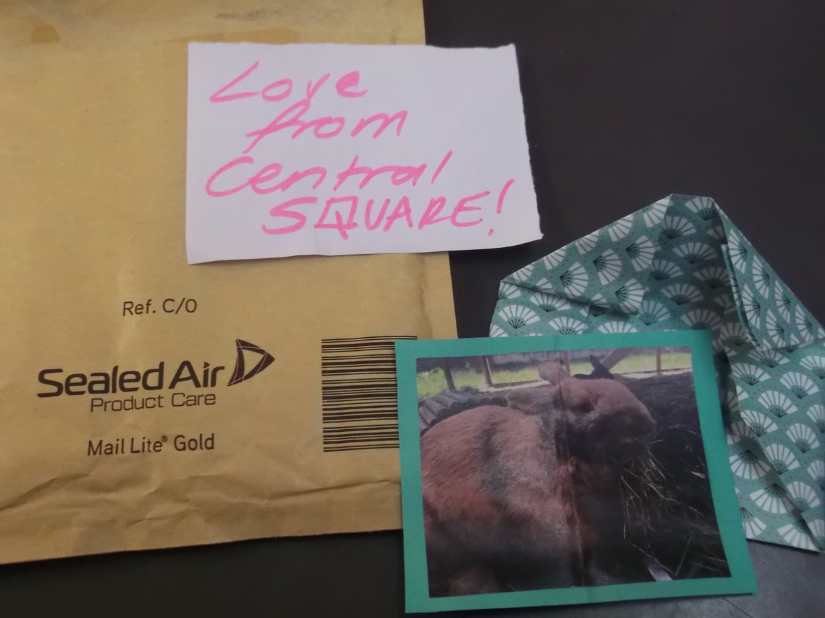 Senghennydd Library tweet media