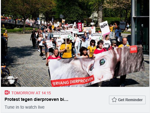 JOIN! WATCH! SHARE! Animal Rights and Save the Movement will be protesting tomorrow, 15 May, against #animaltesting at the #laboratory Charles River in den Bosch. We'll be live on Facebook from 14h15.  facebook.com/AnimalRightsNL…