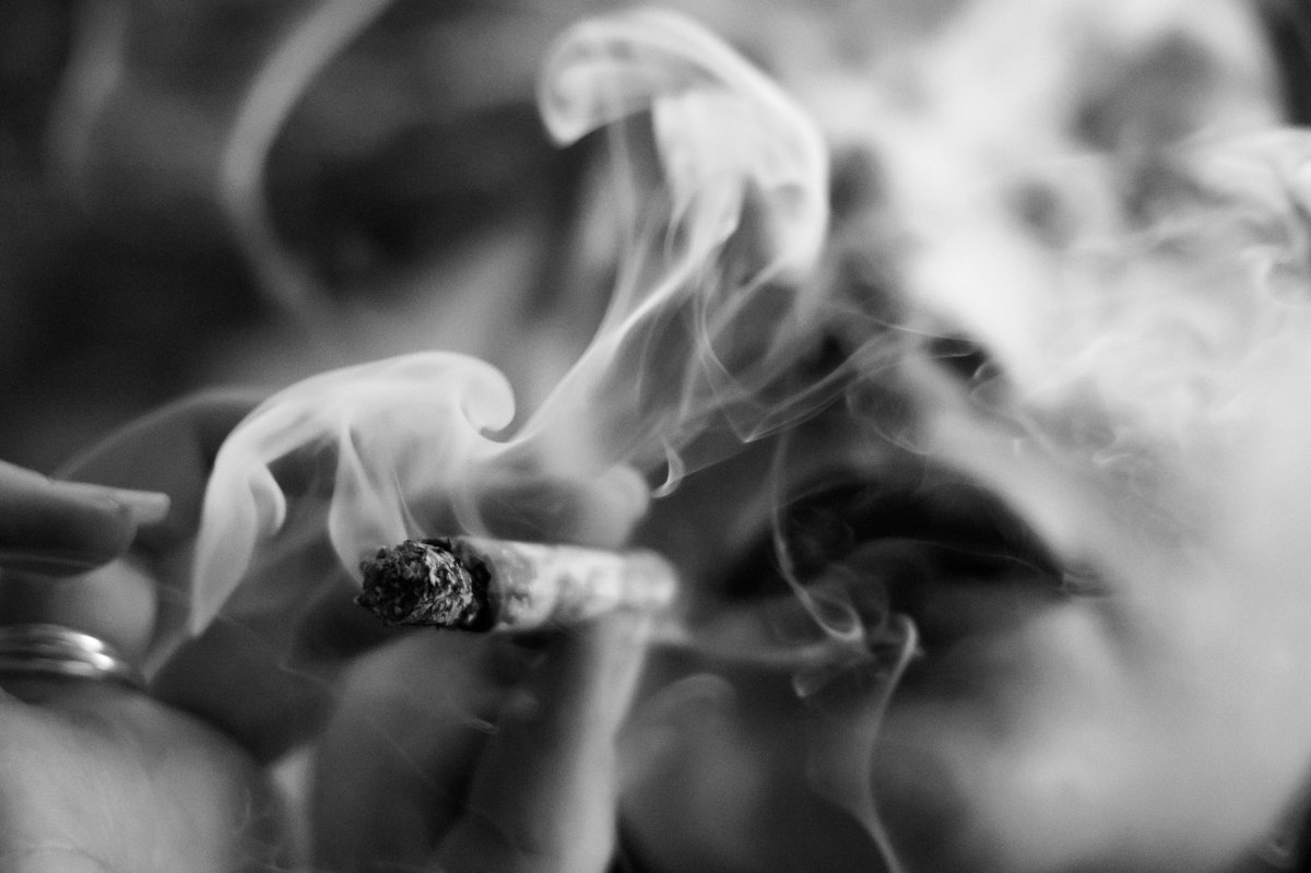 OGCBD_'s tweet photo. Light up with OG CBD Cones
Available at https://t.co/dhSj8wguiI 

#cbd #hemp #cbdoil #cbdvape #cbdliveresin #resin #terpenes #cbdflower #cbdcigarettes #cbdcones #cbdisolate #cbdconcentrates #cbdhash #cbdkeif #cbdproducts #hempproducts #cannabisculture #cbdculture #hempculture https://t.co/cQn8XhjVyK