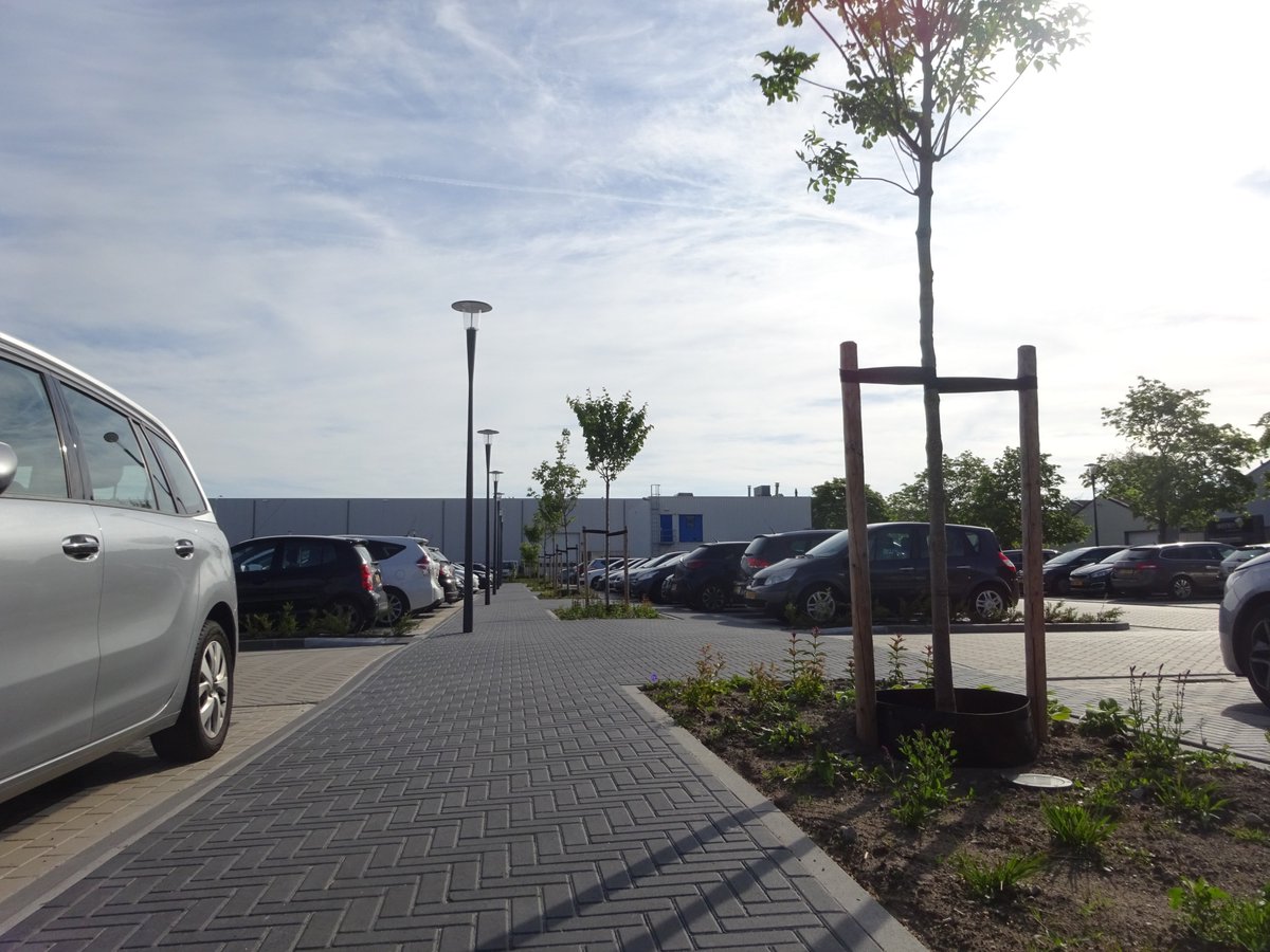 Onno Staal tweet media