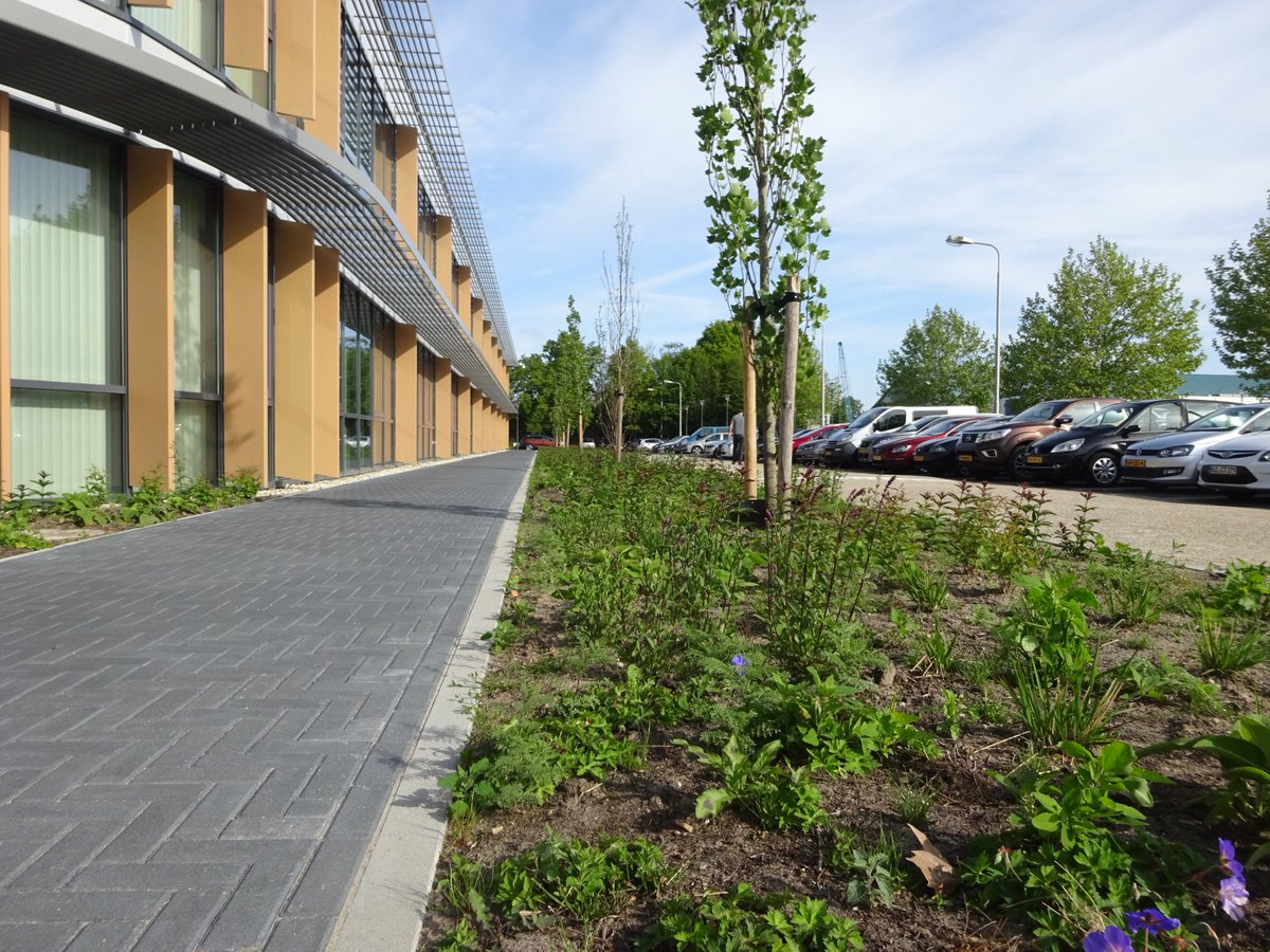 Onno Staal tweet media