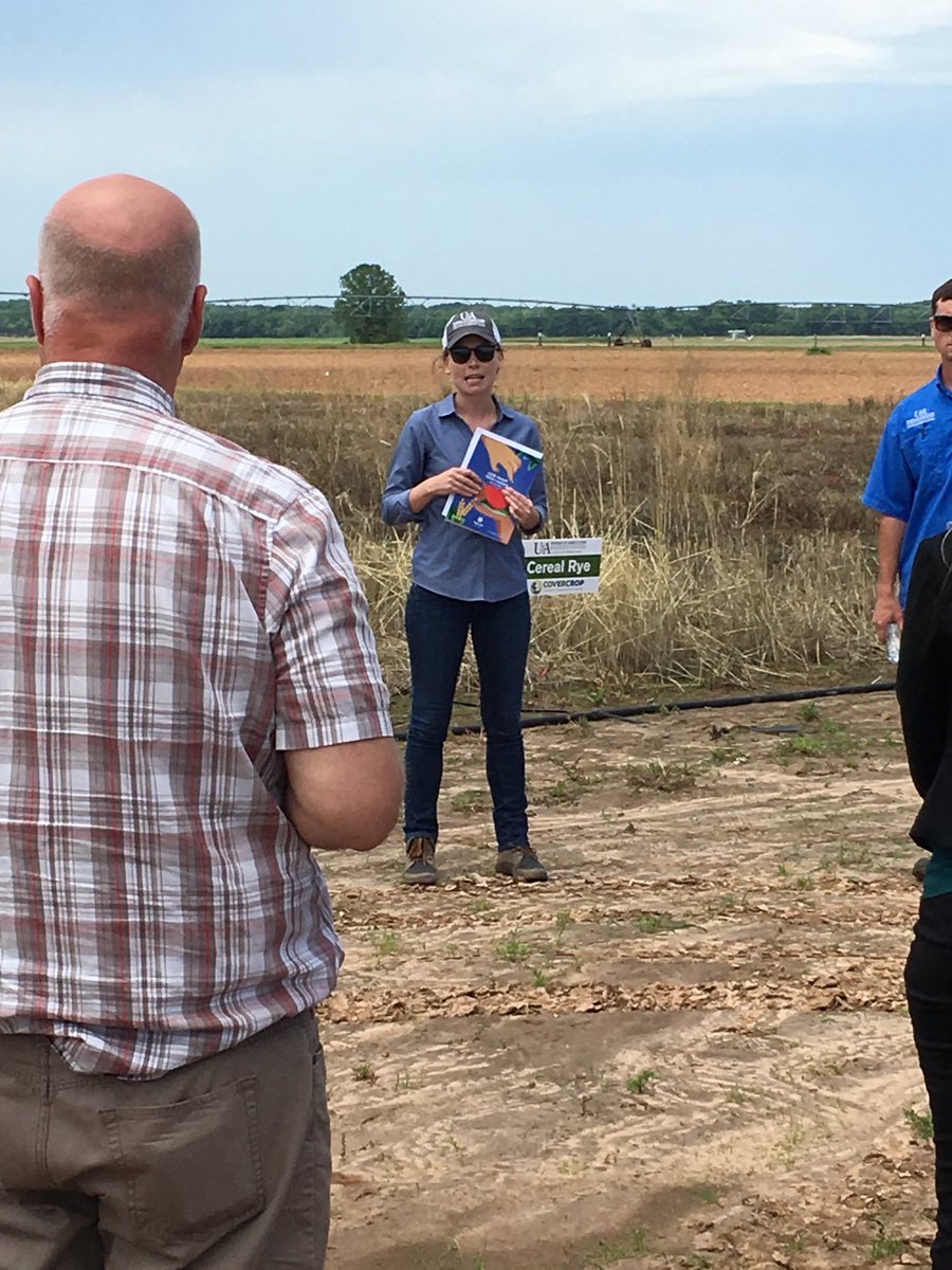 Dr. Amanda McWhirt giving field demo at the watermelon work shop at the Vegetable Research Station.
