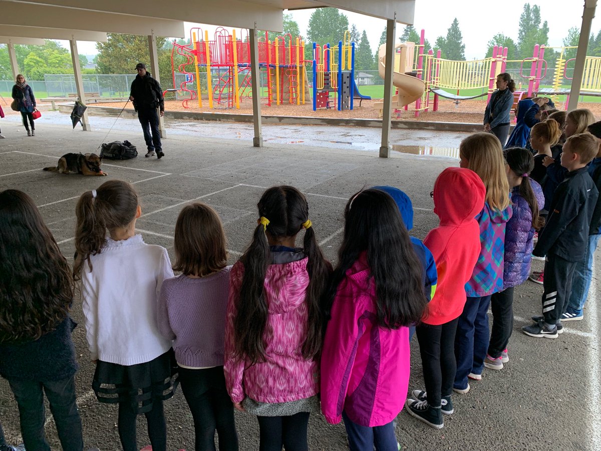 WhiteRockRCMP's tweet photo. Who’s a good boy??? Kola and Gibson sure are!!  @PeaceArchElem @WhiteRockLearn @BCRCMP #nobadguyshere #whatbigteethyouhave #K9 #dogs https://t.co/2LxBW4GoxX