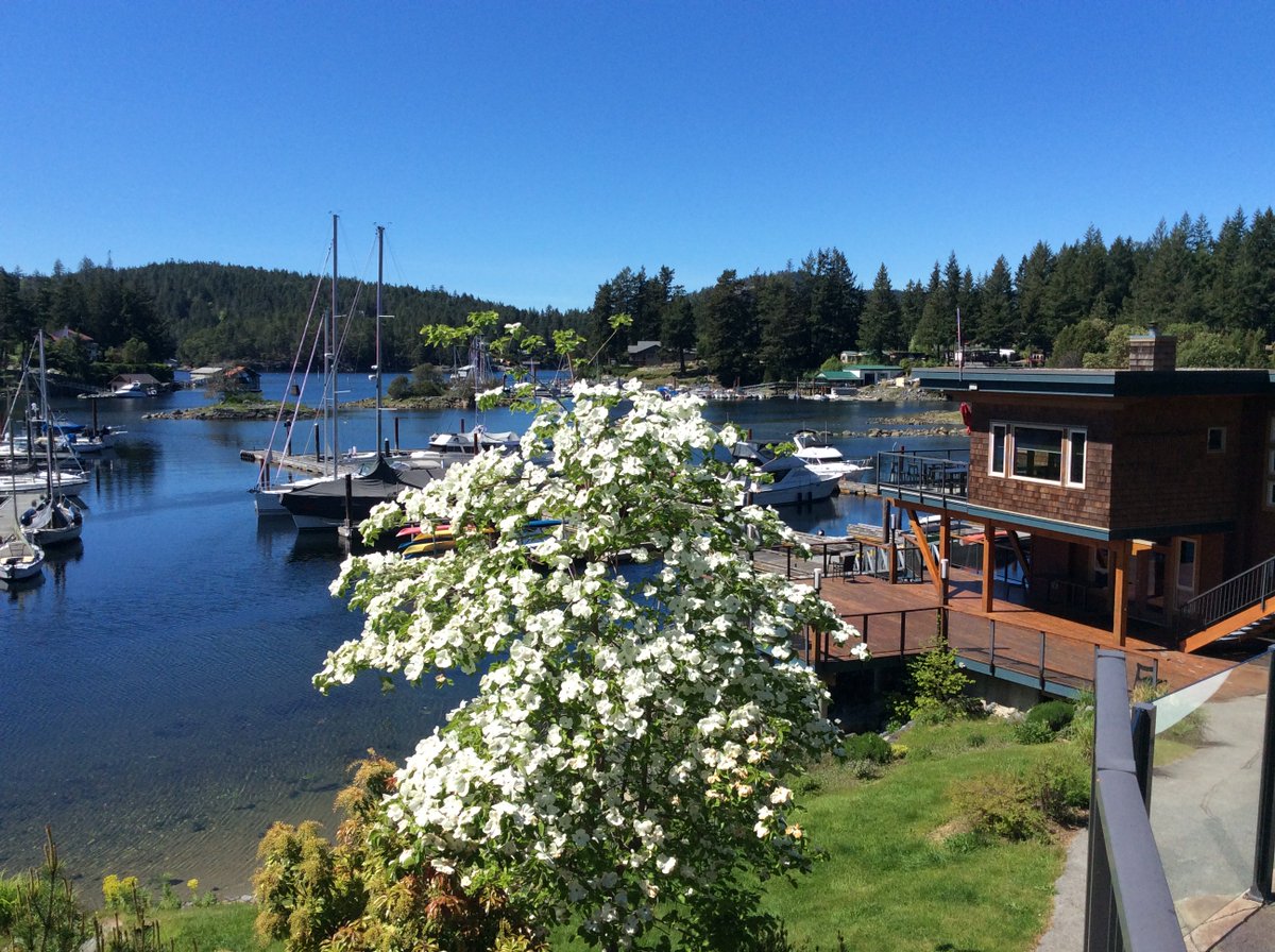 Painted Boat Resort tweet media