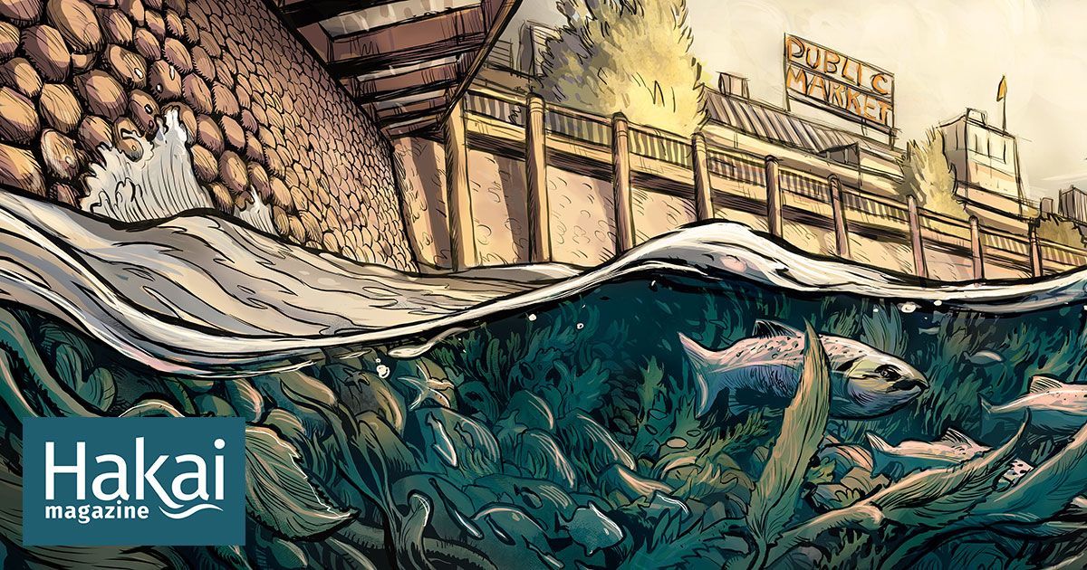 NatlMarineEd's tweet image. In Seattle, Singapore, and other waterfront cities around the world, engineers are creating life-enhancing designs to encourage marine #biodiversity.
 hakaimagazine.com/features/fish-… via @hakaimagazine