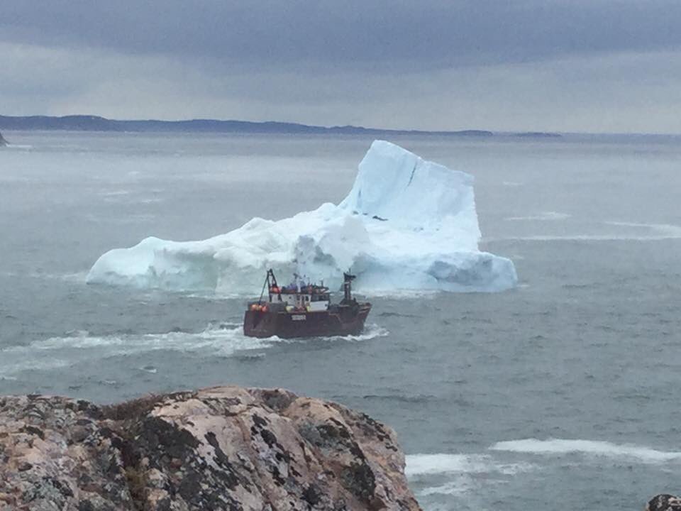 #icebergs have taken over the mouth of #lascie harbour. #nltourism #Travel #vacation #outport #fishinglife #fishingcommunity #IcebergsNL #IcebergAlley