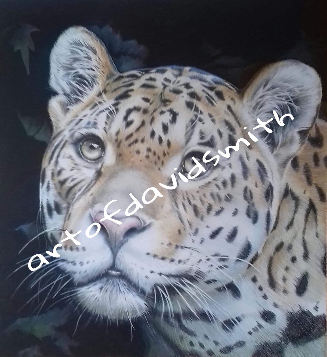 David Smith tweet media