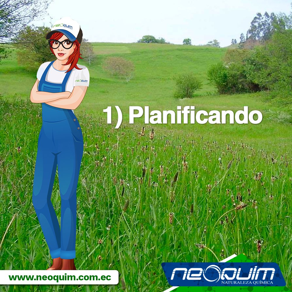 neoquim_ec's tweet photo. Sigue estos sencillos pasos para que tengas una #siembra de pasto exitosa. 
#Neoquim https://t.co/L34XN0srjj