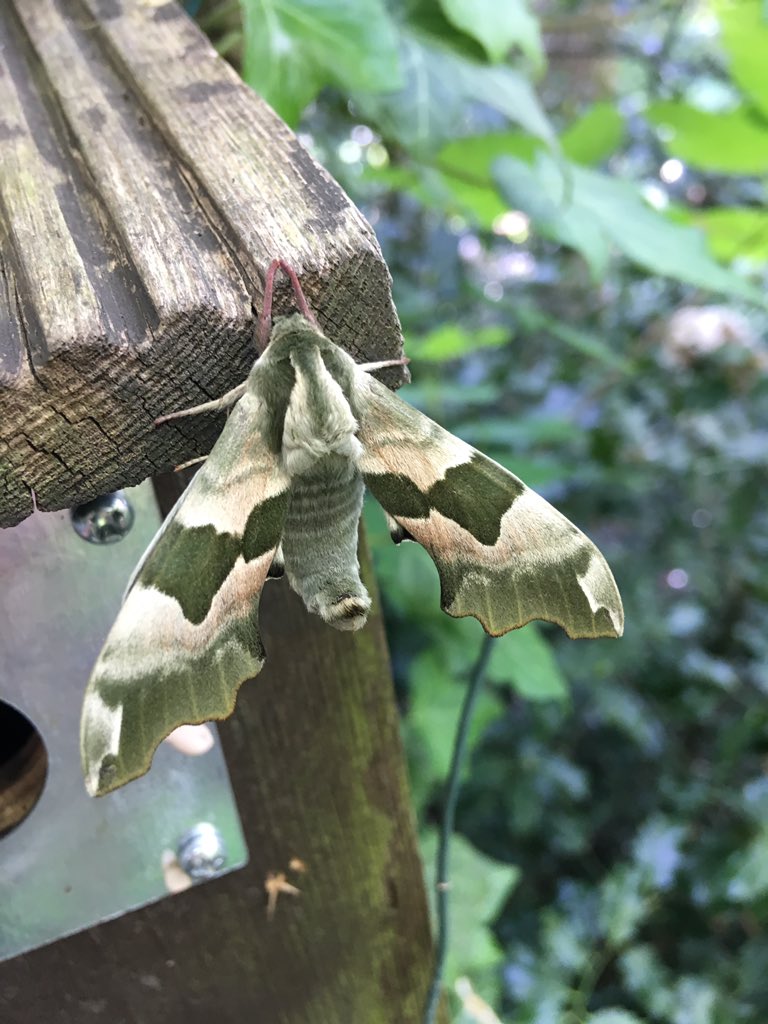 Imogen Mansfield (she/her) tweet media