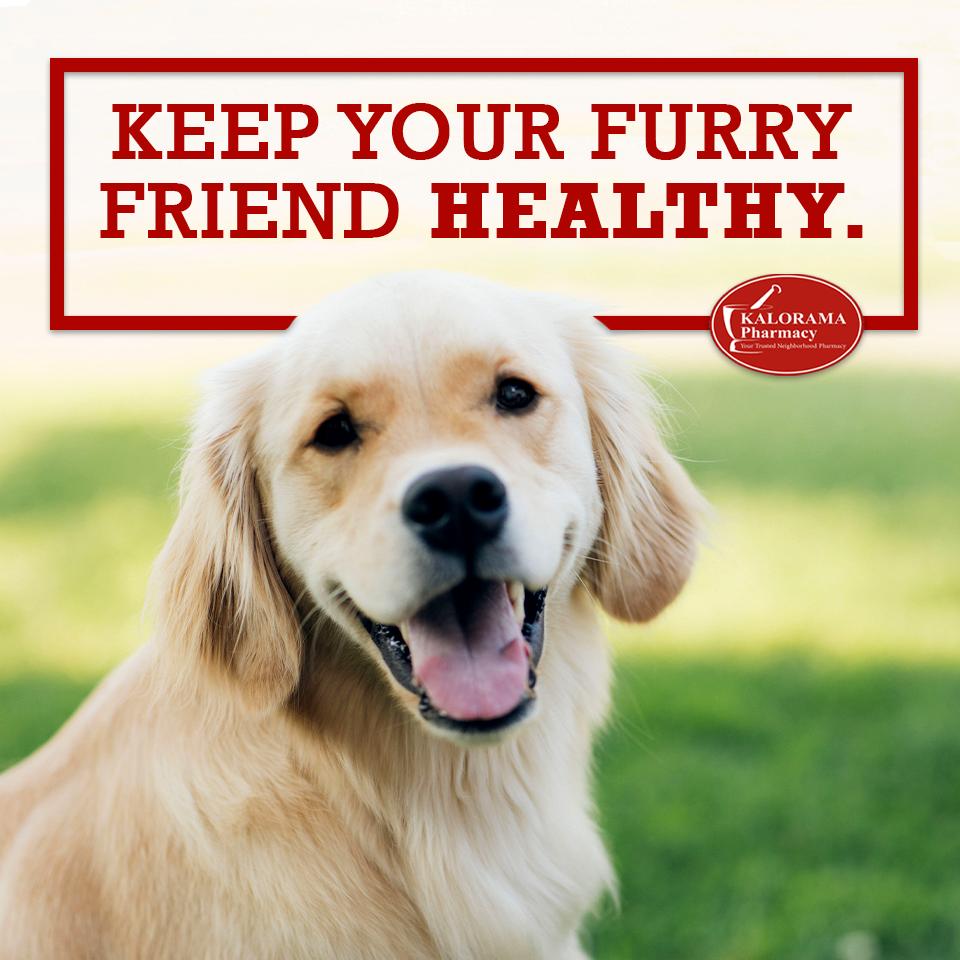 Kalorama Pharmacy is a pet friendly pharmacy focused on all of your pet’s health needs. We offer most prescription pet medications and compounding. We compound your pet prescriptions into flavorful treats making it easier to administer to your pets.