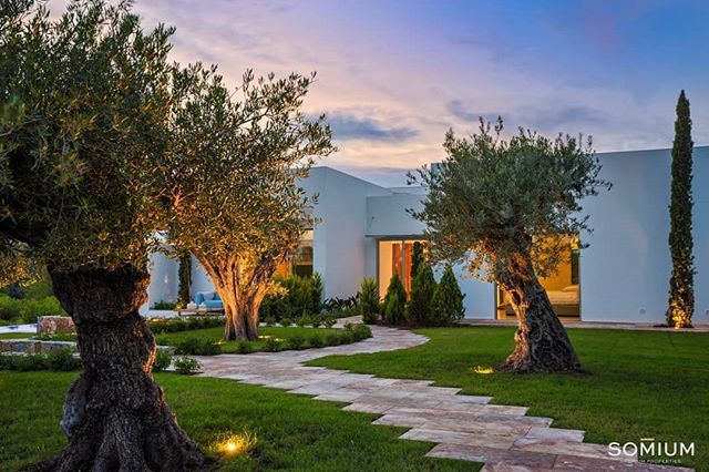 somiumproperty's tweet photo. Lighting plays an important role, always in an indirect way and with the aim of highlighting bodies and shadows. "Lighting is very important. The garden must be alive, it must create lights and shadows". .
.
.
.

#Somium #landscaping #LasColinasgolf #Sie… https://t.co/N7J9PIH8dS https://t.co/AUO7Np2RGW
