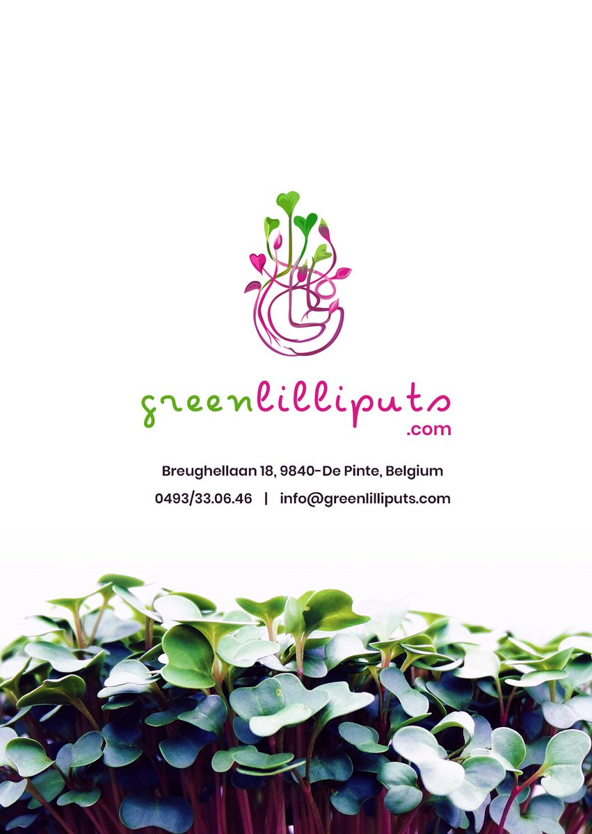 GLilliputs's tweet image. greenlilliputs.com