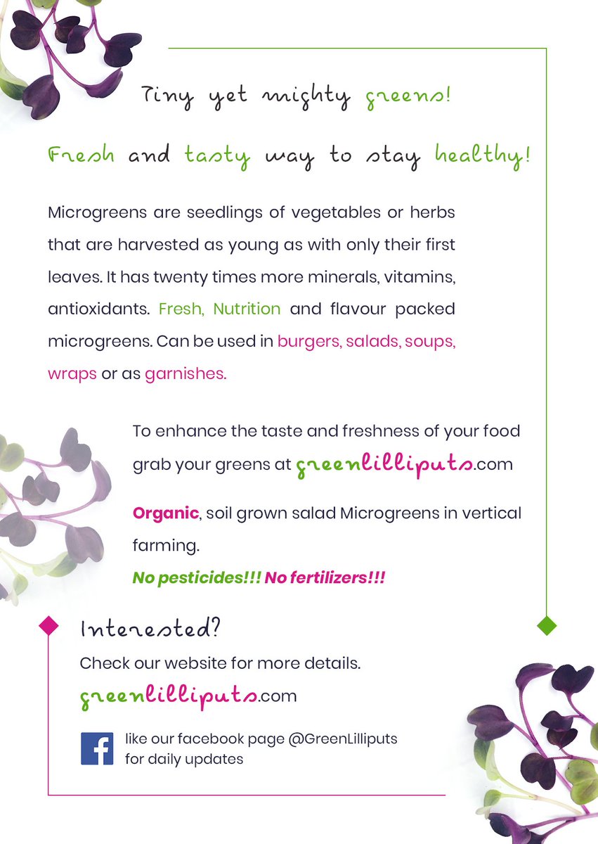 GLilliputs's tweet image. greenlilliputs.com