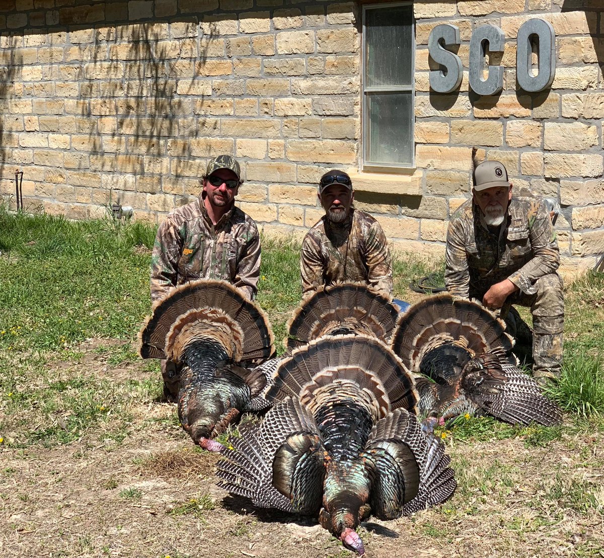 Mojo_Outdoors's tweet photo. We count 3 hunters and 4 birds for Team MOJO... Must have been a good day at @shallowcreekoutfitters
.
#mojooutdoors #outdoors #hunting #turkeyseason #turkeyhunting #longbeard #strutter #turkeydown #scootnshoot #turkeytuesday
@bandedbrands #apexammunition #stoeger_usa https://t.co/0SjES9CuNp