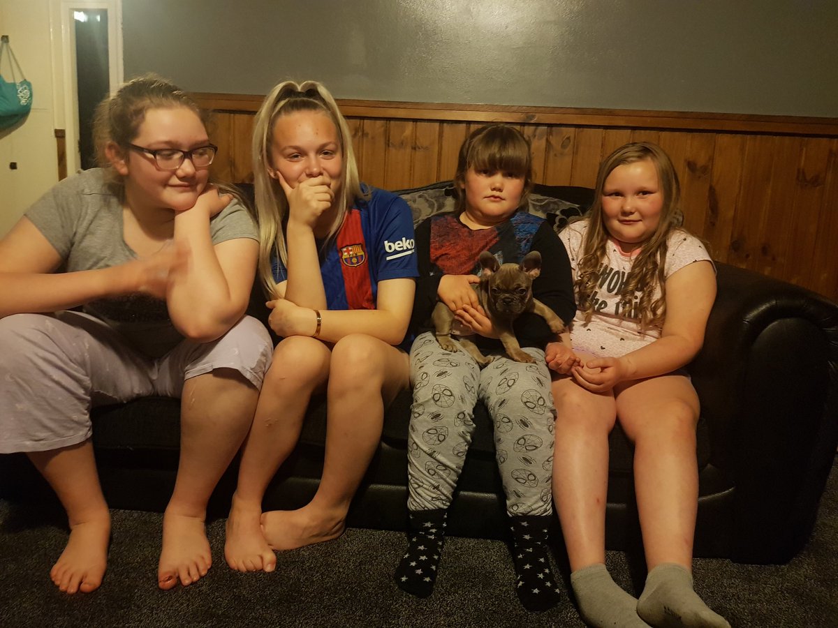 iwasiuk152's tweet photo. @Mr_Fotheringham @LadywoodKH @MrsNeillLW 
Ruby and Olivia are proud to announce our new family member and play mate Storm  😍🐶 French bulldog https://t.co/SVGeyJgyWW
