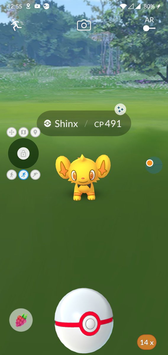 SparkDexCore's tweet image. Look at this beautiful little guy🥰
#pokemongo #beautiful #ShinyVibes
