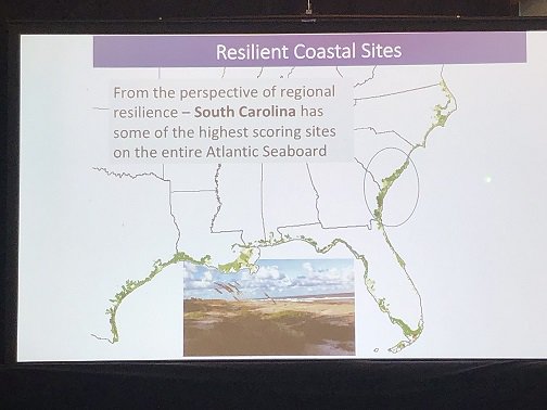 OpenSpaceInst's tweet photo. Learning the latest research on how protecting coastal #SouthCarolina and the #GulfCoast will safeguard habitat and #cleanwater, and reduce flooding as the climate changes. Land protection does good!
TY @nature_org #SCClimate #LandAndLowcountry https://t.co/2Qe21TH267
