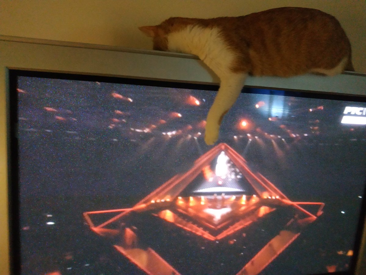 Christina Forster tweet media