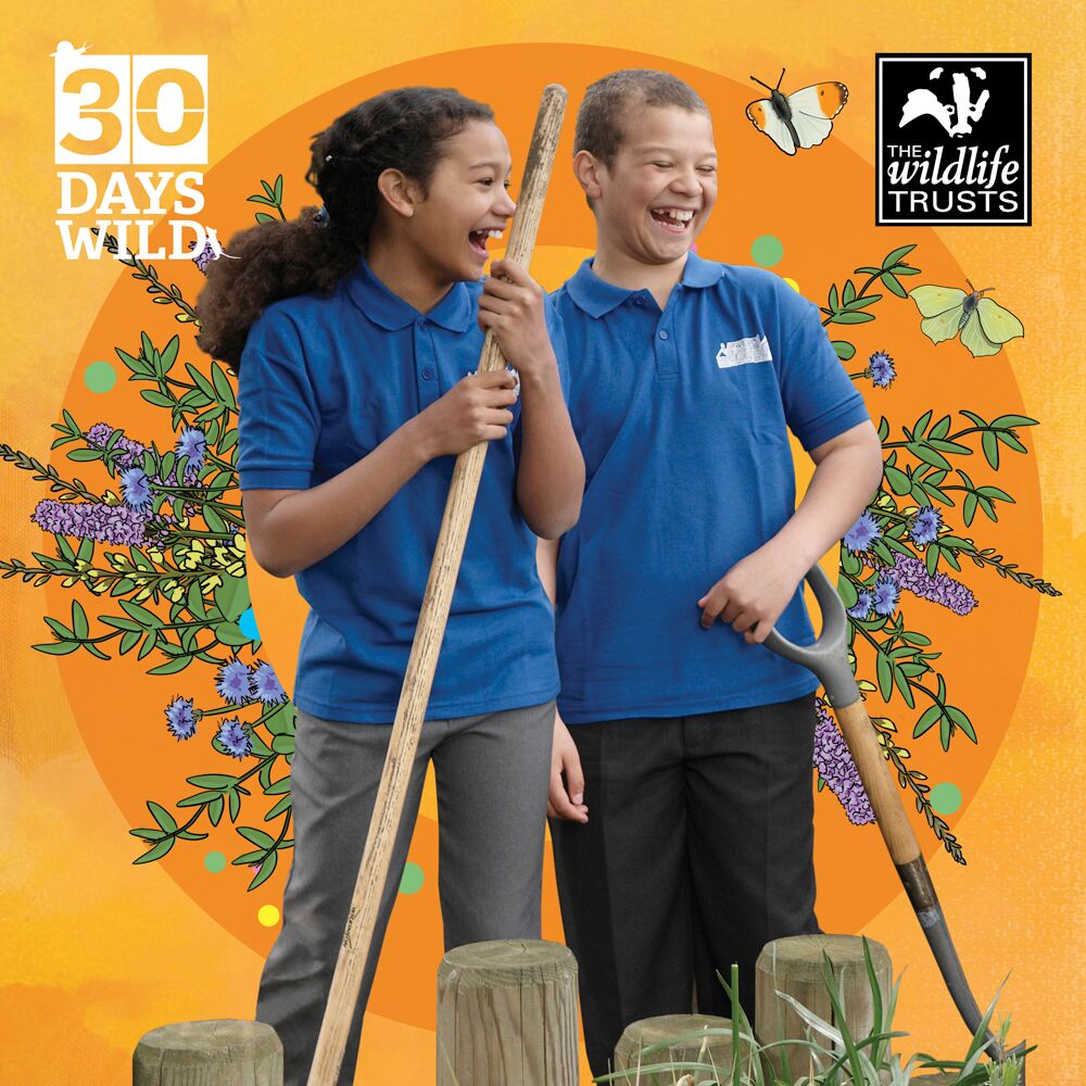 This June, thousands of people are taking part in #30DaysWild, our month long nature challenge, and this year we want schools involved too! 🤸‍♀️🌳🐝🤸‍♂️🐞
wildlifetrusts.org/30DaysWild/sch…
@TES @teachertoolkit <a href="/FSAForestSchool/">Forest School Association</a>