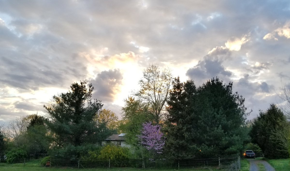 GardenPartyFarm's tweet photo. @LunaLuvgood2020 @TrinityResists @lfkraus @mcspocky @jomareewade @SpockResists @BatmanResist @TrisResists @Rey_Sistance @ladyhawkerfinds @Bvweir My back pasture. https://t.co/akaJvlHa4b