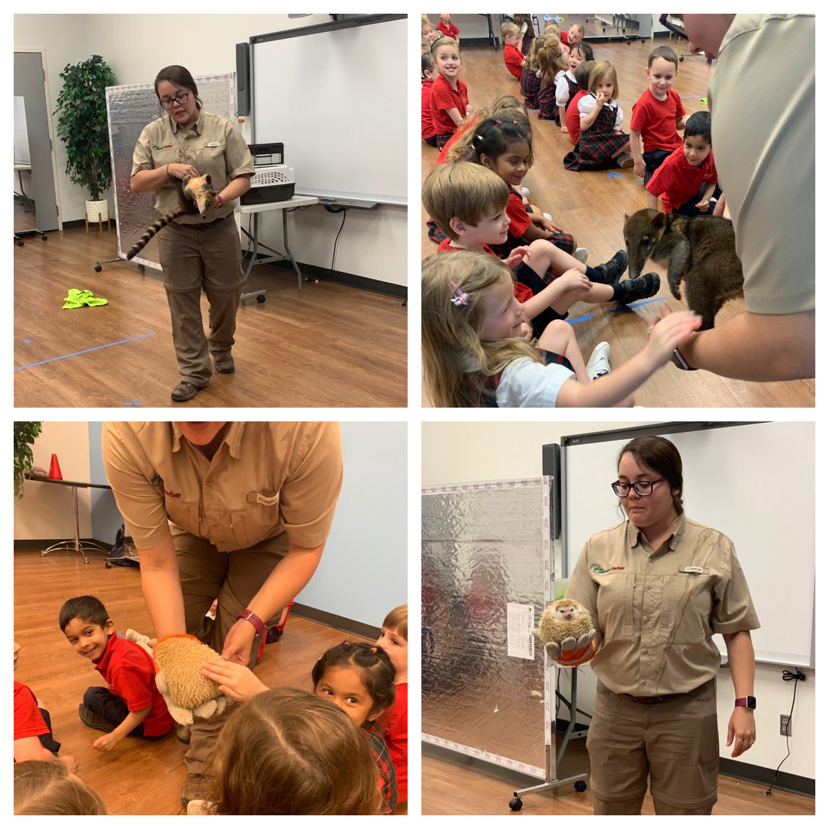 PreKS205 tweet media