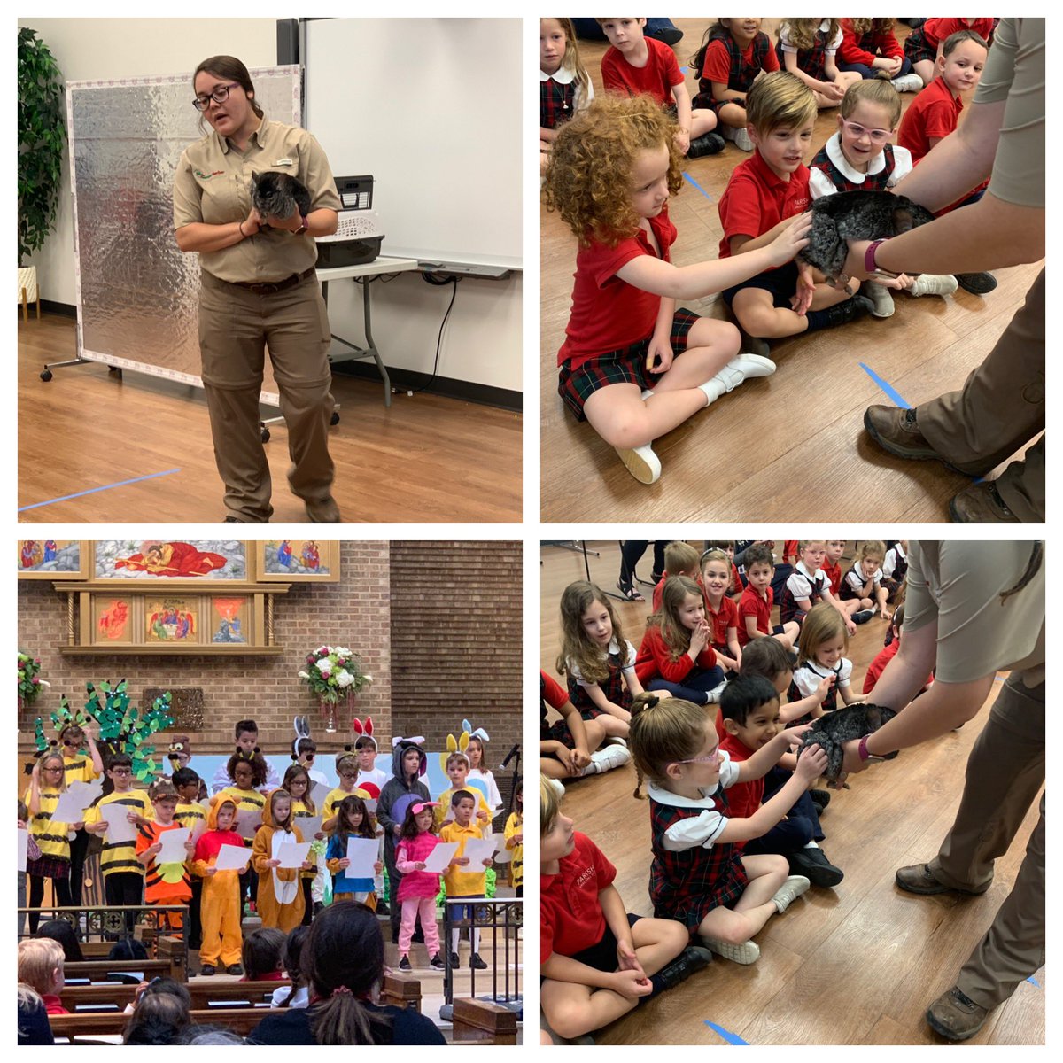 PreKS205 tweet media