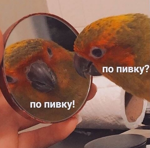 so_mad_so_funny's tweet photo. https://t.co/ixnTKNQZgr