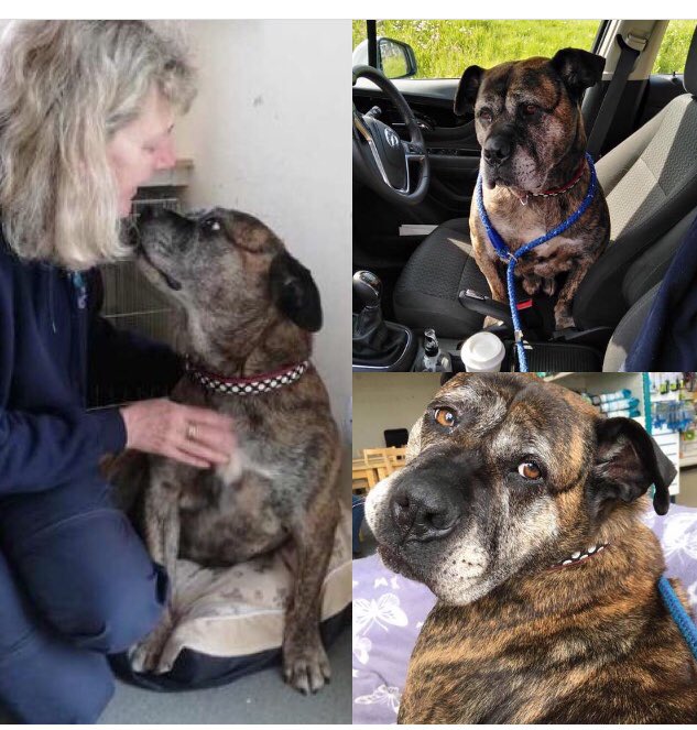 Llys Nini tweet media