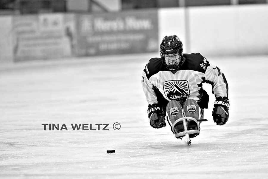 tinaweltz_media tweet media