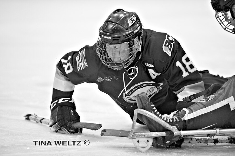 tinaweltz_media tweet media