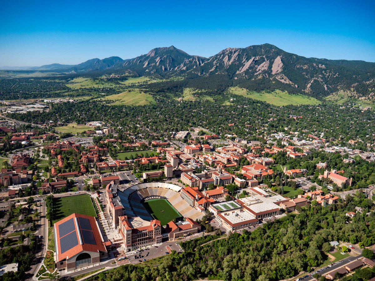Forever Buffs 🦬 tweet media