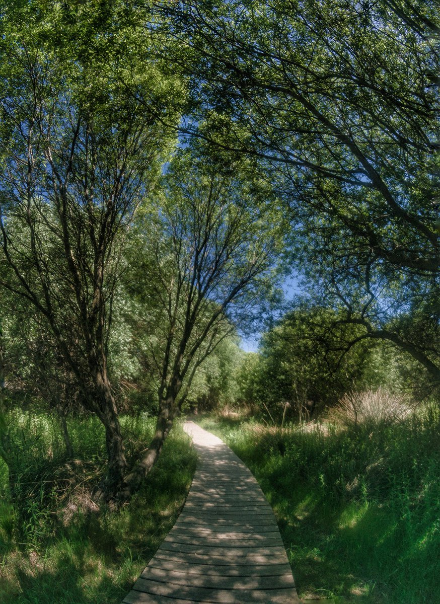 Se percibe el verano en los senderos de la laguna 😏
<a href="/AytoPadul/">Ayuntamiento Padul</a> <a href="/masquegrana/">Más turismo Granada</a> <a href="/GranadaenFotos/">Granada en Fotos</a> <a href="/PlanesGranada/">GRANADA</a> <a href="/PadulTeEspera/">Padul Turismo</a> <a href="/andaluciaparais/">andaluciaparaiso ❤</a> <a href="/viveandalucia/">Vive Andalucía</a>
