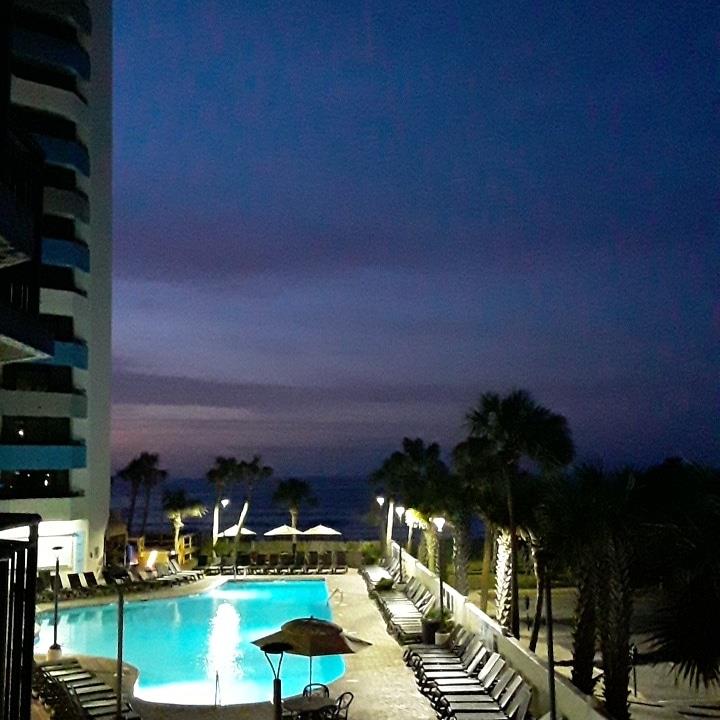 abipolardaywit1's tweet photo. I'm a finalist in Ocean Reef Resort's Photo Contest- help me rally votes: https://t.co/eyO1Rckmop @OceanReefMB https://t.co/Kp7EEaktwH