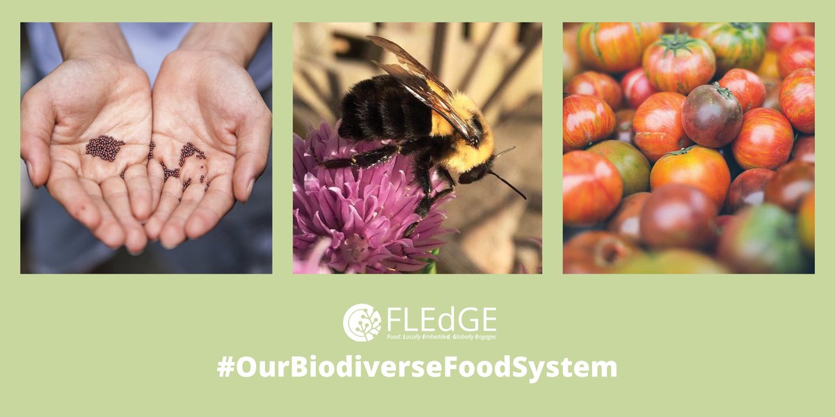 May 22nd is #IntlBiodiversityDay with the theme “Our Biodiversity, Our Food, Our Health.” Help us celebrate by tweeting a picture that represents the biodiversity in your food system with the hashtag #OurBiodiverseFoodSystem @UNBiodiversity