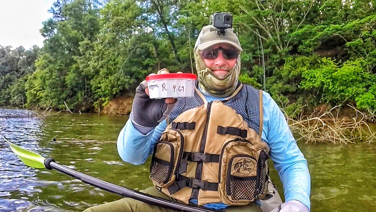 BRPennington's tweet photo. One of my favorite videos I have done yet. Kayak Fishing for Bluegill with Live Worms https://t.co/l5CnArGzsy via @YouTube #fishing #kayakfishing #camping #fishinandjunk https://t.co/gorc3TNie6