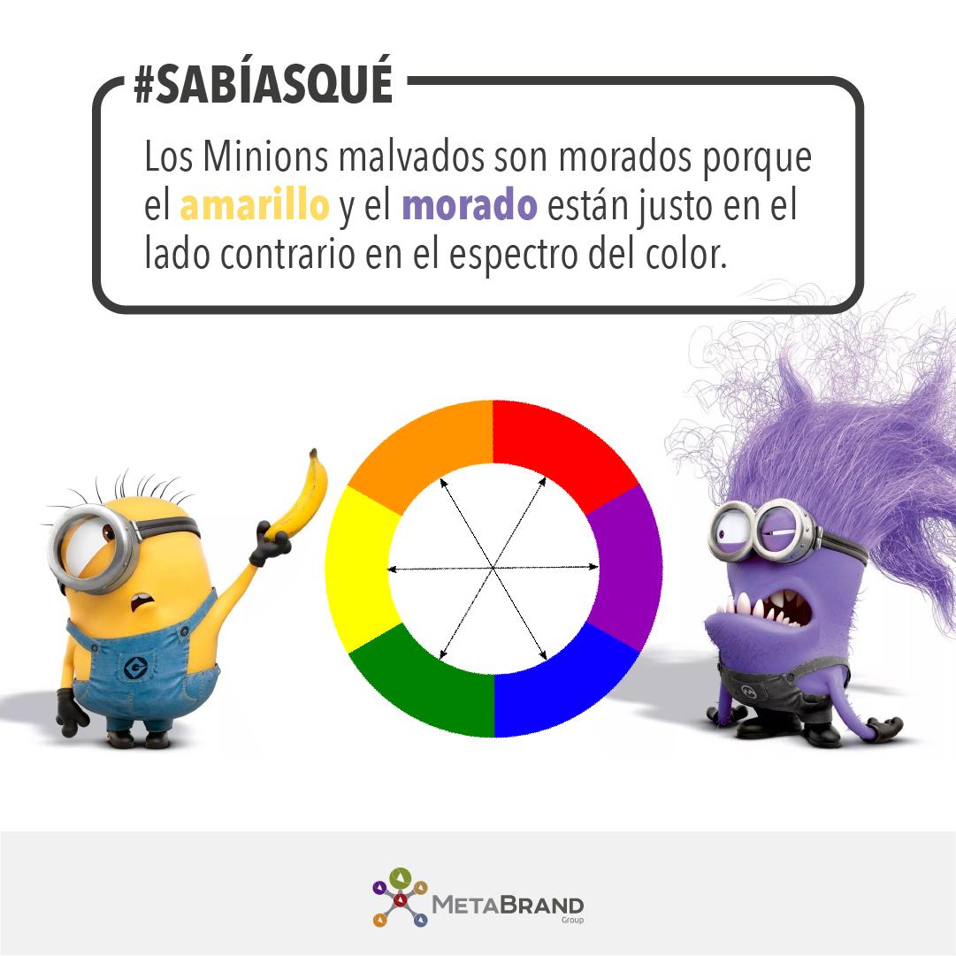 MetaBrandGroup tweet media