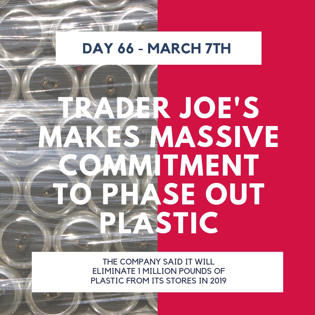 FeelFrisson's tweet image. From flower sleeves to meat packaging, everything is getting a sustainable makeover at Trader Joe's bit.ly/2E7c4dS Source: @GlblCtzn #plasticpollution