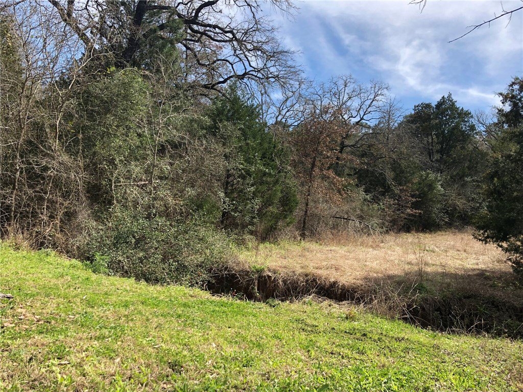 GenexusGroup's tweet image. Check out our #listing in #Bastrop #TX  #realestate #realtor tour.circlepix.com/home/NKCLBE