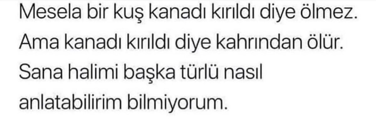 Oğuzhan yanmış🌙 (@guzelyarinlarr) on Twitter photo 