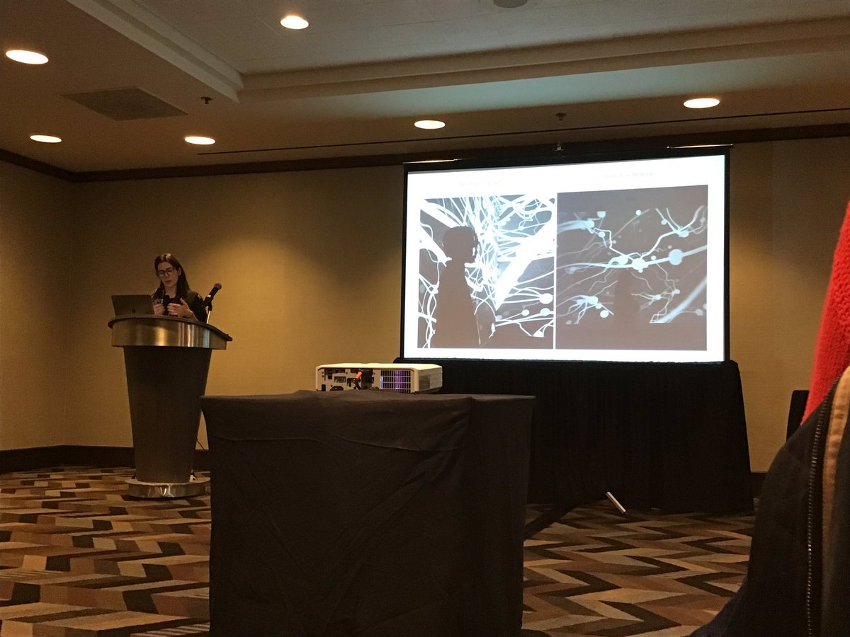 denisparra's tweet image. @manuelagi presented our work about conducting a visual analysis on Instagram posts of an interactive artistic installation @latin_web #TheWebConference