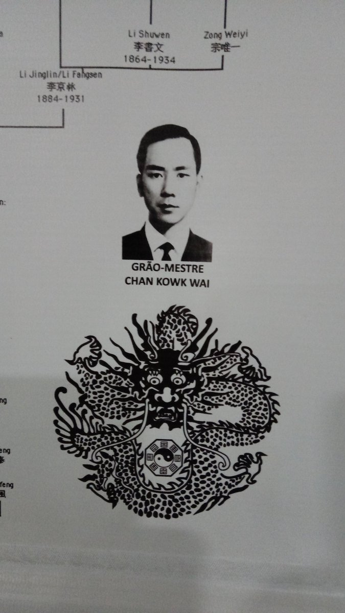 Aula de kung fu wushu todas idades.