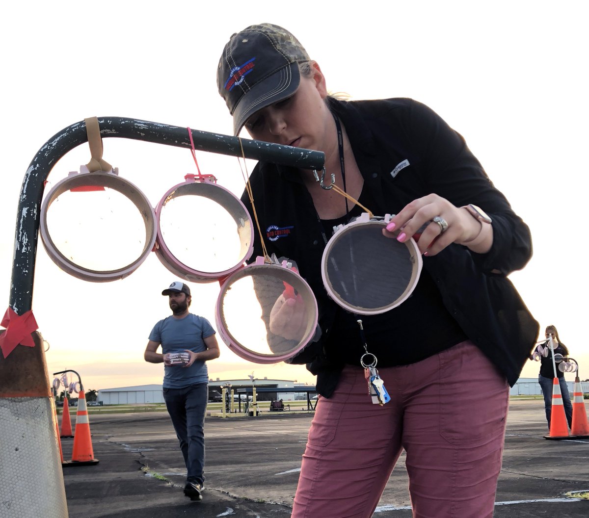 CollierMosquito's tweet image. Early morning work with @USDA and @USNavy testing #mosquito strains for their resistance to #pyrethroid-based control materials. All of this research helps us to effectively #FightTheBite. #SWFL