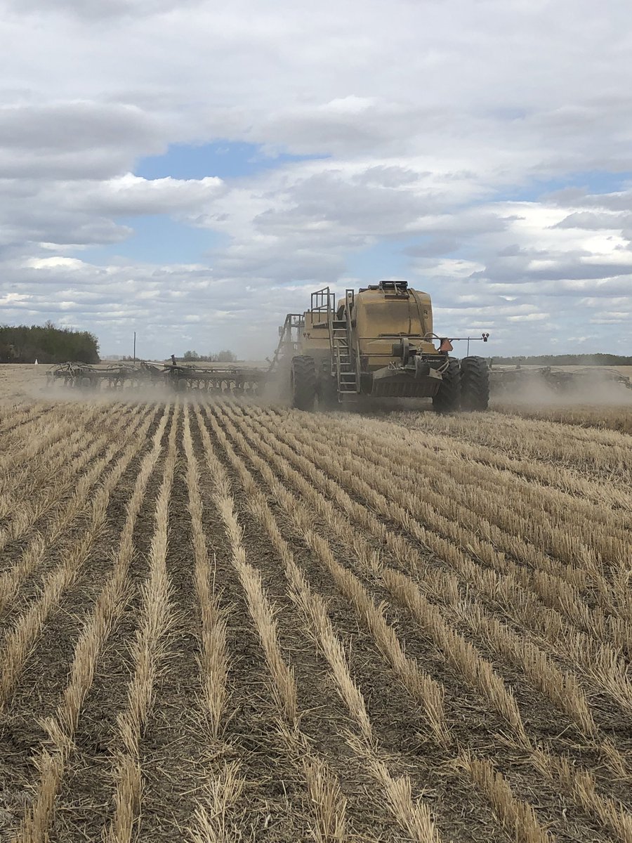 PCEfarmSALES's tweet photo. Seed trial day with @BASFAgSolutions canola and a customers @SeedMasterMfg unit with #UltraProII metering. Quick, simple and accurate. https://t.co/KpaLsVAhGd