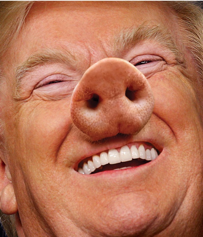 NoKleptocracy's tweet photo. @realDonaldTrump so much winning #loser #ConMan https://t.co/wtu9kWPXEY