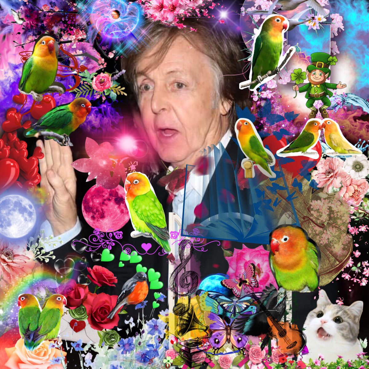 Stu_McCartney's tweet image. #freetoedit #paulmccartney #agaporni #love #word #flower #heart #animal #happy #cat #universe #luz #lucky #sky #dragonfly #mariposa #bird #pajaro #libro #book  #music