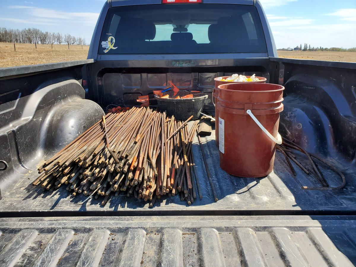 JacquelineToews's tweet photo. A bittersweet day. My last day of field work for my #polycrop graduate project at the Termuende Ranch @LFCE_usask https://t.co/LKKglbbVPl