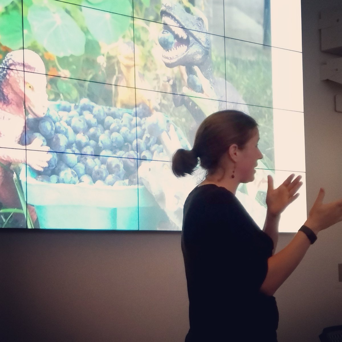 MIT Terrascope tweet media