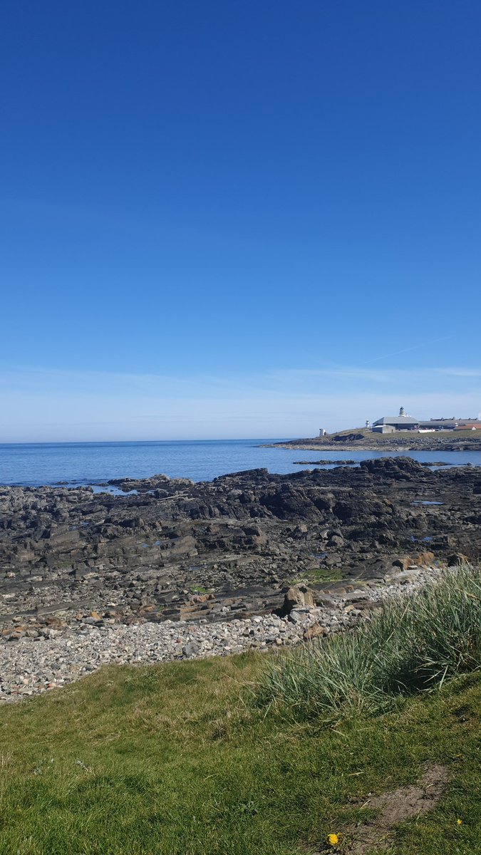 #fraserburgh Spring is  here 🌝