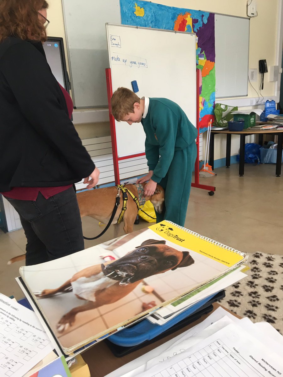 Walterstown5th's tweet photo. We had a very informative and enjoyable visit from @DogsTrust_IE today https://t.co/Y0ngnz68xw